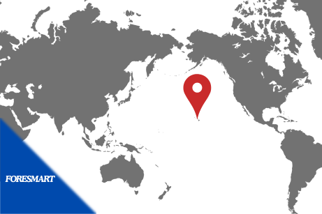 A Complete Guide for Shipping a Container to Hawaii
